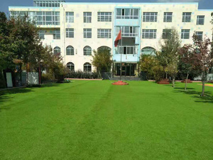 学校人造草坪案例